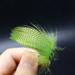 10 colors spots and pitting CDC feather mallard flank wild goose hackle feathers fly tying materials for adult flies legs making