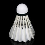 100%original WECAN shuttlecock Gold wecan class A duck feather shuttlecock  badminton for competition free shipping 5 dozens/lot