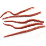 10PCS/Lot Artificial Sea Worms 135mm Soft Fishing Lures Soft Bait Lifelike Fishy Smell Lures