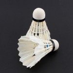 12 Pcs/Lot Professional Badminton Balls Portable White Goose Feather Training Badminton Ball Shuttlecocks Sports Accessories