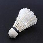 12 Pcs/Lot Professional Badminton Balls Portable White Goose Feather Training Badminton Ball Shuttlecocks Sports Accessories