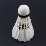 12 Pcs/Lot Professional Badminton Balls Portable White Goose Feather Training Badminton Ball Shuttlecocks Sports Accessories