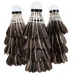 12 Pcs/lot Hot Portable Black Duck Feather Badminton Balls Shuttlecock Shuttlecocks Outdoor Sports badminton Ball Freeship