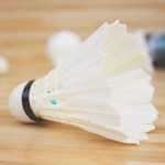 12Pcs White Sports Training Goose Feather Shuttlecocks Birdies Badminton Ball Game