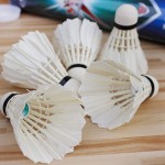 12Pcs White Sports Training Goose Feather Shuttlecocks Birdies Badminton Ball Game