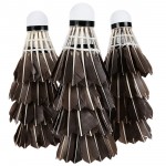 12pcs Portable Outdoor Sport Black Class A Duck Feather Training Badminton Balls Shuttlecocks With A Box Sports Accessories