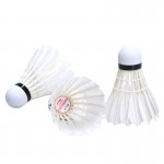 15pcs/tube Original Li Ning Shuttlecock A+60E Badminton goose feather shuttlecock Sandwichcock for Tournament