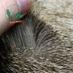 2 pcs/lot deer body hair fur patch with bigger size:8cm*8cm Elk Body Hair short deer hair for fishing dry flies tying materials