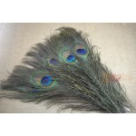 20Pcs Natural Peacock Tail Eye Hair for Fly Tying Streamer Slamon Flies Olive Peacock Feather Fly Fishing Lure Bait DIY Material