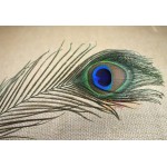 20Pcs Natural Peacock Tail Eye Hair for Fly Tying Streamer Slamon Flies Olive Peacock Feather Fly Fishing Lure Bait DIY Material