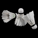 3 x Training White duck feathers Badminton Shuttlecocks Birdies Ball Game Sport Entertainment Product Badminton Balls with Can