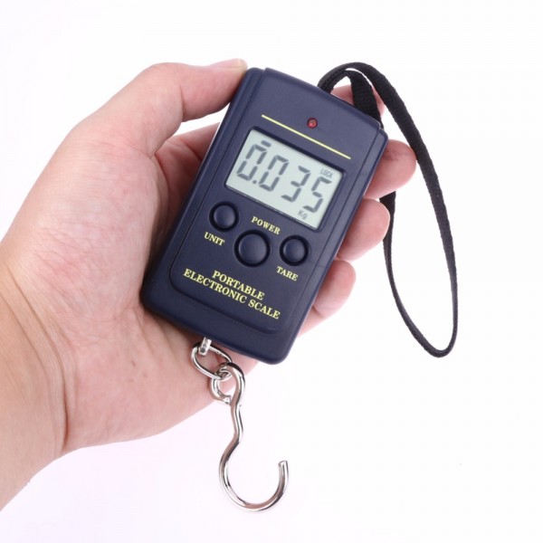 40kgx10g Portable Mini Electronic Digital Scale Hanging Fishing Hook Scale the Balance with Blue Background Llight Hot Search