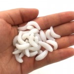 50PCS/lot 2cm 0.43g maggot Grub Soft Lure Baits silicone bait smell Worms Glow Shrimps Fishing Lures for carp Fishing YE-267Y