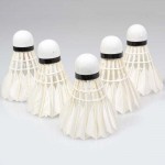 5Pcs Durable Regenerative Head High Speed Badminton Ball Duck Feather Badminton Shuttlecocks Ball Sports Traning Accessories