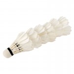 6 Pcs Portable White Birdies Feather Training Badminton Balls Shuttlecocks Sport Products