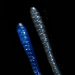 ALLBLUE 12pcs Smell Plastic Worm Soft Bait 11cm /2.5g Soft Lure Bait Artificial Lure Luminous Earthworm Bass Fishing Lures