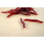 Anmuka 100pcs 4cm 0.19g Soft Lure Red Worms EarthWorm Fishing Baits Worms Trout Fishing Lures fishing tackle fishing spoon jigs