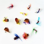 Anmuka 12pcs/set Various Dry Fly Fishing Trout Salmon Dry Flies Fish Hook Lures fishing fishing pesca