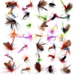 Attractive 36pcs Insect Fly Fishing Lure Artificial Fishing Bait Feather Single Treble Hooks Carp Fish Lure Water surface