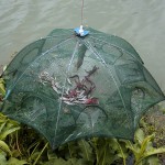 Automatic Fishing Net Shrimp Cage Nylon Foldable Crab Fish Trap Cast Net Cast Folding Fishing Network