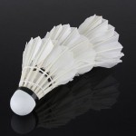 Bingirl 12 Pcs/Lot Professional training volant badminton plume d'oie lenwave shuttlecock goose feather badminton shuttlecocks