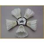 Bingirl 12 Pcs/Lot Professional training volant badminton plume d'oie lenwave shuttlecock goose feather badminton shuttlecocks