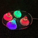 Dark Night 4 Pcs Colorful LED Badminton Goose Feather Shuttlecock Shuttlecocks 8 Light Modes Badminton Shuttle Cock