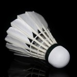 Free Shipping HonKoo Badminton shuttlecocks HKO-11 best grade water duck feather shuttlecocks for Competition Super durable