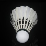 Free shipping Original KASON badminton shuttlecock KS15 Feather Shuttlecock goose feather shuttlecock for tournament