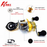 Gold Magnetic Brake 19BB Saltwater Baitcasting Reel top Brand Fishing Bait casting Reel Left Right Handle Coil Water Drop Wheel