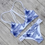 Hot Sexy Brazilian Bikini Swimwear Swimsuit Bathing Suit Women Biquini 2017 Push Up Bikini Set Femme Beach Wear Swim Suit