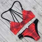 Hot Sexy Brazilian Bikini Swimwear Swimsuit Bathing Suit Women Biquini 2017 Push Up Bikini Set Femme Beach Wear Swim Suit