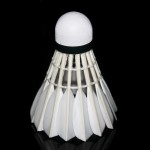 KUNLI-01 Top class duck feather badminton shuttlecock 12 pcs/dozen feather shuttlecock for competition 5dozen/lot free shipping