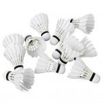 LYDOO 12pcs Goose Shuttlecock Feather  White Training Badminton Balls Shuttlecocks Portable Sport with Box for Practice