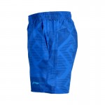 Li-Ning Men Badminton Shorts Quick Dry Flexible Breathable 86% Polyester Fiber Sport Shorts AKSK343 MKD1135