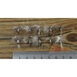 MNFT 10PCS 14# 12# Grey Mosquito Fly May Trout Flies Fly Fishing Lures Bugs Wholesale