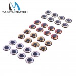 Maximucatch 24-252 Pieces 6 Sizes Fly Tying 4D Fishing Lure Fish Eyes Fly Tying Lure Lure Making