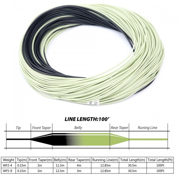 Maximumcatch Fly Fishing Line Double Color Weight Forward Floating 100FT  Fly Line With Sinking Tip Floating Fly Line