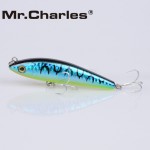 Mr.Charles CMC028  fishing lures  ,90mm/15.5g Surface floating shad, assorted different colors