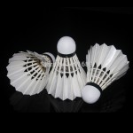 Original RSL badminton shuttlecock RSL 5 Feather Shuttlecock/Best Durability top grade duck feather shuttlecock for tournament