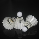 Original RSL badminton shuttlecock RSL1 Feather Shuttlecock/Best Durability top grade Cigu duck feather for tournament