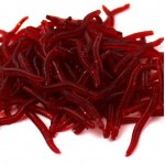 Rompin 50Pcs/lot 3.5cm Simulation Earthworm red Worms Artificial Fishing Lure Tackle Soft Bait Lifelike Fishy Smell Lures Red