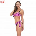 Sexy Brazilian Bikini Set Swimwear Plus Size Push Up Swimsuit Bathing Suit Women Biquini 2017 Bikinis Beach Wear Swim Suit