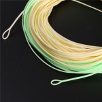 Switch Fly Fishing Line Double Color 100FT 5/6WT 7/8WT Weight Forward Floating  Fly line