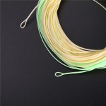 Switch Fly Fishing Line Double Color 100FT 5/6WT 7/8WT Weight Forward Floating  Fly line