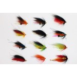 Tigofly 12 Pcs Assorted Tube Fly Set Salmon Fly Trout Fly Fishing Flies