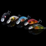 Trulinoya DW24 Mini Fishing Crank Baits 3.5g 35mm Fishing Hard Lures with BKK Black Steel Hooks for Catching Black Sea Bream