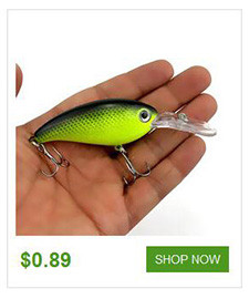 1-Pcs-Plastic-Top-water-Insects-Lure-4cm-42g-Fishing-Bait-Bass-Crank-Bait-Free-Shipping-YE-206-32781662514