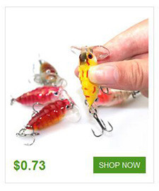 1-Pcs-Plastic-Top-water-Insects-Lure-4cm-42g-Fishing-Bait-Bass-Crank-Bait-Free-Shipping-YE-206-32781662514