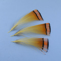 10PCS-Wifreo-Size-6-Yellow-Pupa-Larva-Nymph-Fly-for-Trout-Bass-Fishing-32585254828